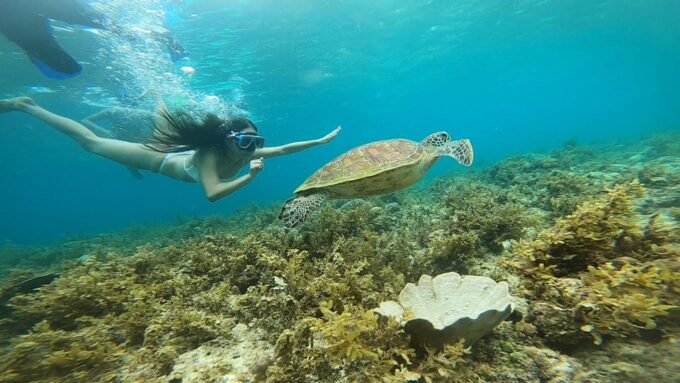 Cebu: 3DAYS Cebu & Bohol Countryside Tour With Lunch Buffet - What to Bring and Know Before You Go