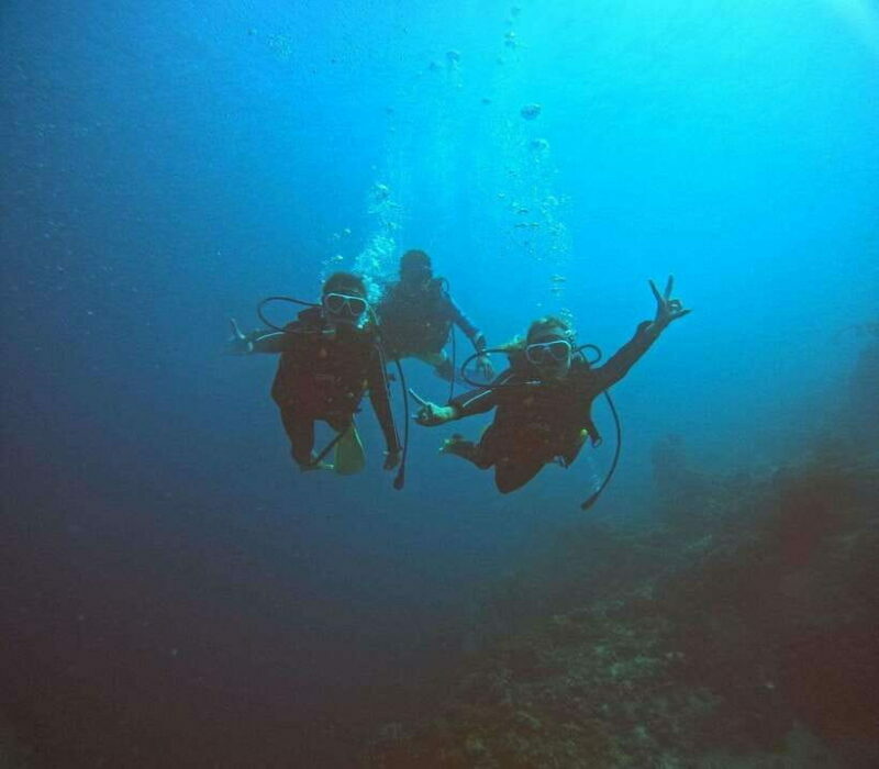 Cebu: Beach Scuba Diving Experience - Who Should Book This Tour?