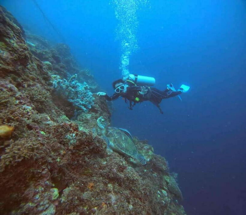 Cebu: Beach Scuba Diving Experience - Frequently Asked Questions
