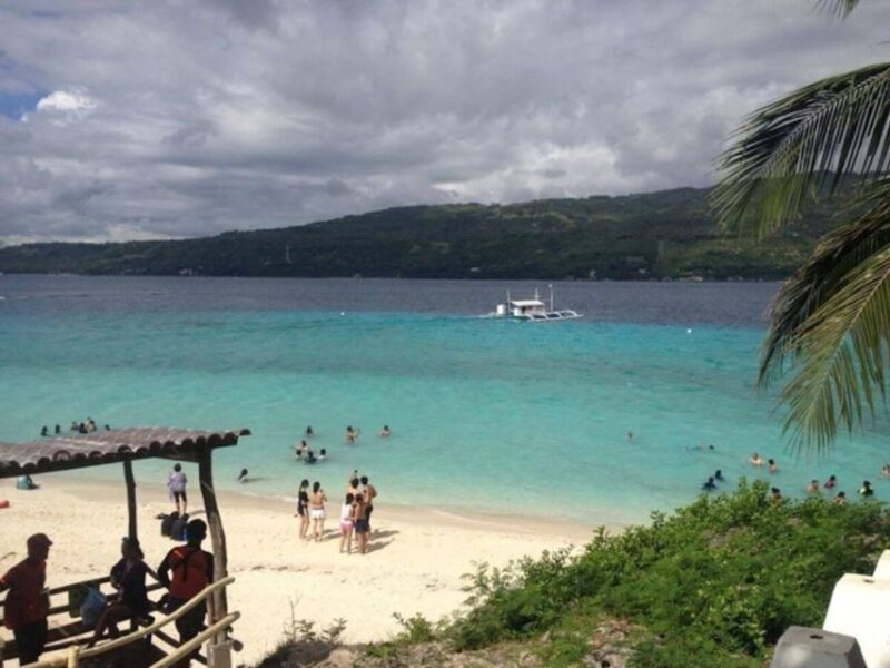 Cebu: Boat Day Trip With Whale Shark Swimming and Lunch - Pickup and Drop-off Locations