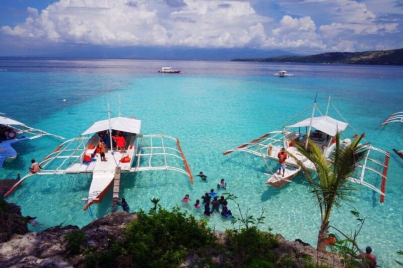 Cebu: Boat Day Trip With Whale Shark Swimming and Lunch - Customer Ratings and Feedback