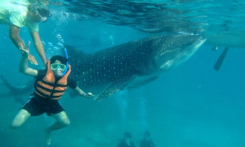 Cebu: Car Charter With Driver - Booking and Cancellation Policy