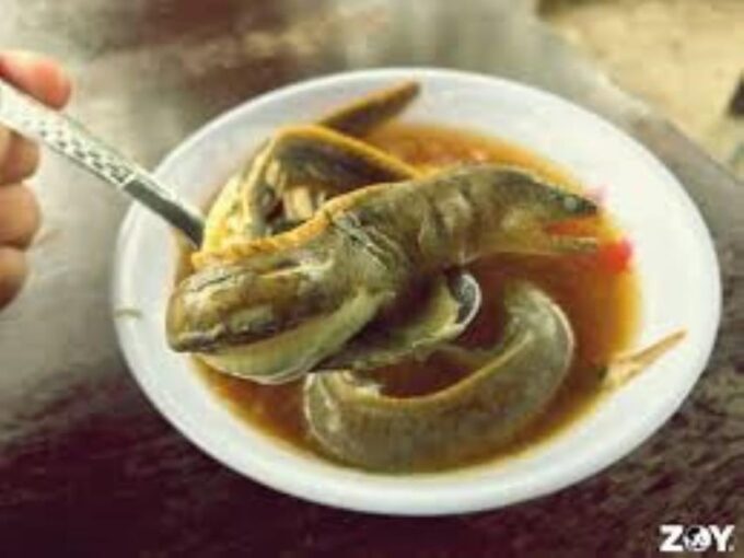 Cebu City: A Food Adventure Through City Streets - Customer Testimonial