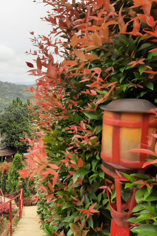 Cebu City: Embracing Culture, Heritage and Attractions - Magellans Cross and Fort San Pedro