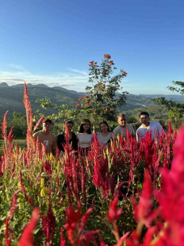 Cebu: City Highlights with Sirao Flower Garden Visit - A Detailed Look at the Tour Experience