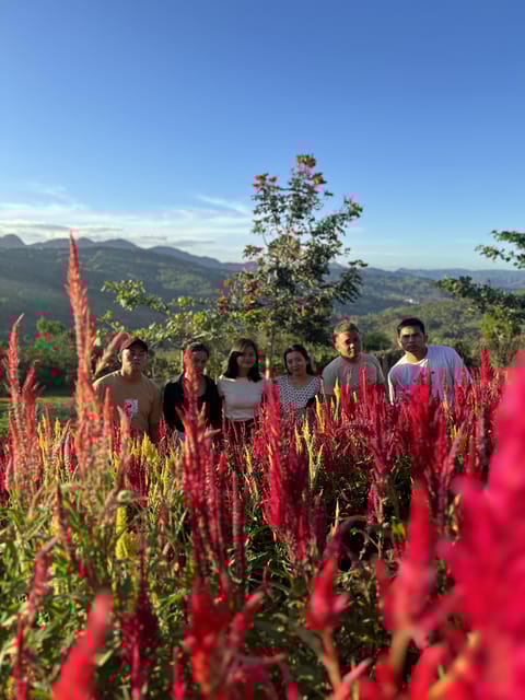 Cebu: City Highlights With Sirao Flower Garden Visit - Exploring Cebus History