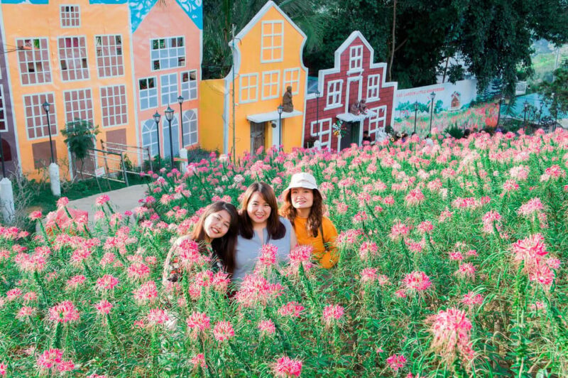 Cebu City Tour (Private Tour) - Tour Highlights and Itinerary
