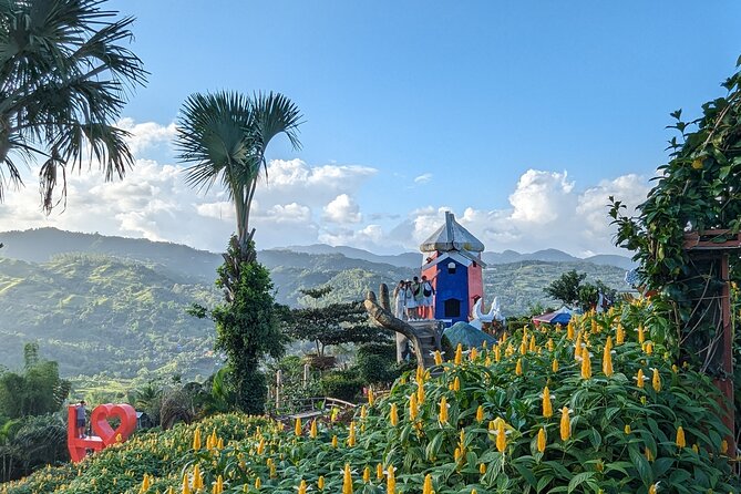 Cebu City With Sirao Garden Half Day Tour - Touring Fort San Pedro