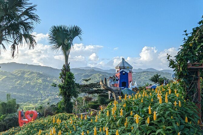Cebu City with Sirao Garden Half Day Tour - Is This Tour Worth It?