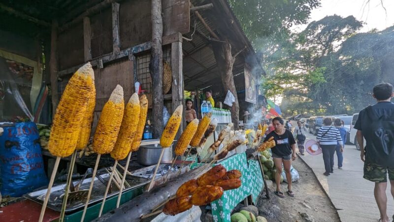 Cebu City With Sirao Garden Half Day Tour - Key Points