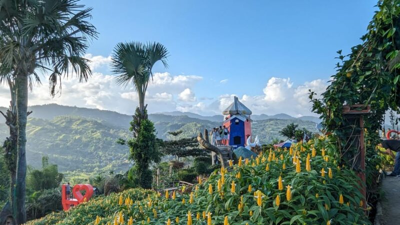 Cebu City With Sirao Garden Half Day Tour - Booking Information