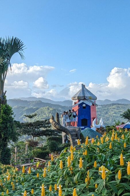 Cebu City With Sirao Garden Half Day Tour - Sirao Garden