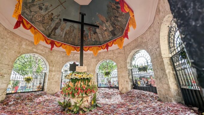 Cebu City With Sirao Garden Half Day Tour - Frequently Asked Questions