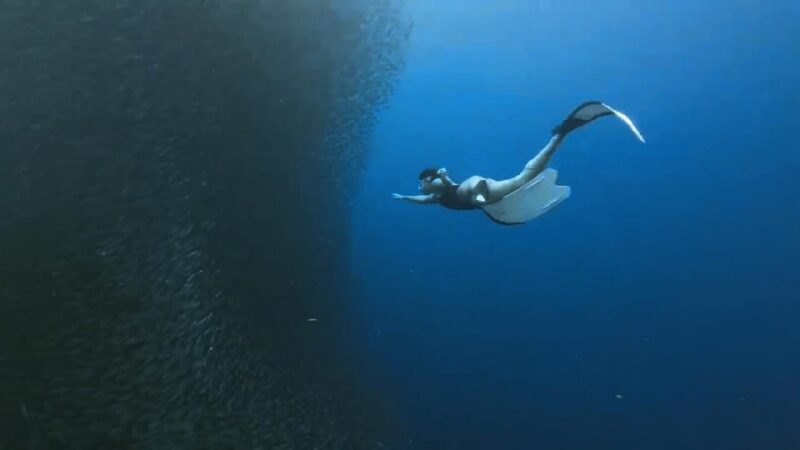 Cebu Combo:Pescador Island Hopping & Canyoneering With Lunch - Itinerary and Locations