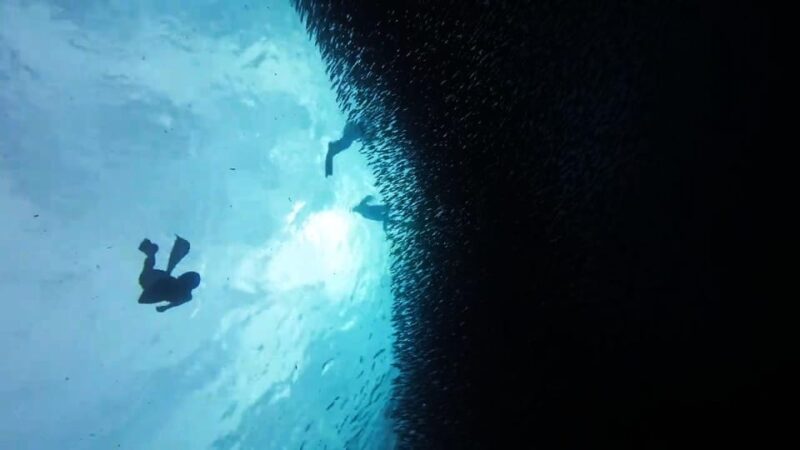Cebu Combo:Pescador Island Hopping & Canyoneering With Lunch - Canyoneering Experience