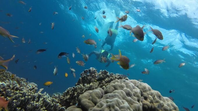 Cebu Combo:Pescador Island Hopping & Canyoneering With Lunch - Frequently Asked Questions