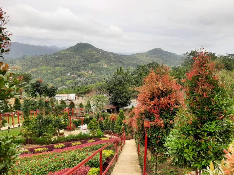 Cebu: Cultural Gems Guided Tour With 10,000 Roses - Participant Information and Reviews
