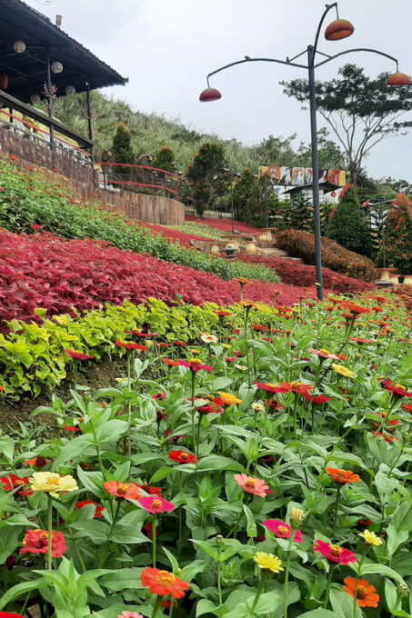 Cebu: Cultural Gems Guided Tour With 10,000 Roses - Tranquil Charm of Little Kyoto