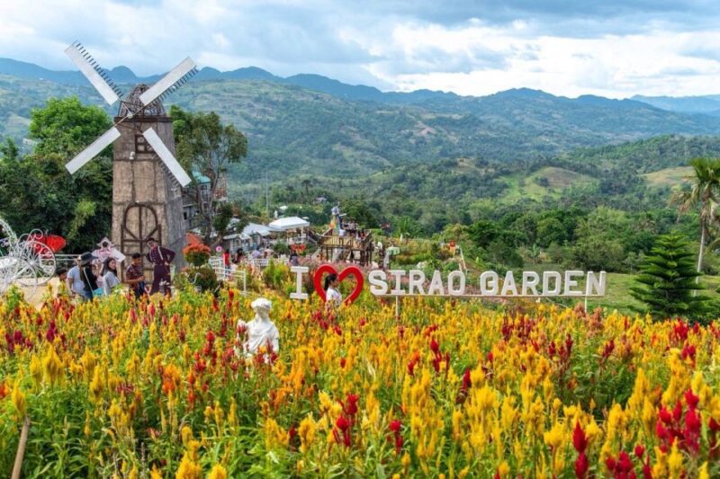 Cebu Day Tour With Pick-Up, Drop-Off and Lunch - Logistics and Inclusions