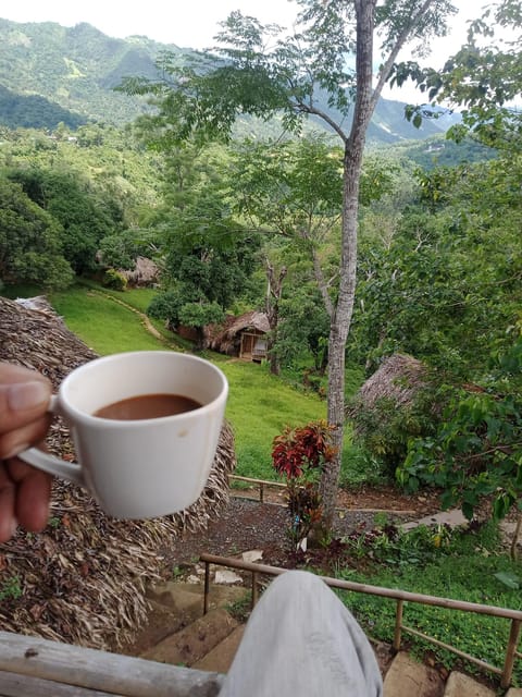 Cebu: Glamping Within Cebu City - Important Considerations
