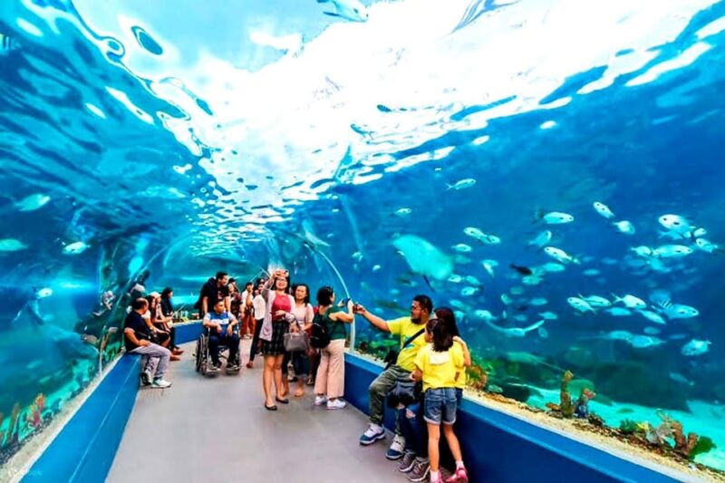 Cebu: Go-Karting + Ocean Park & History Tour With Lunch - Historical Tour Itinerary