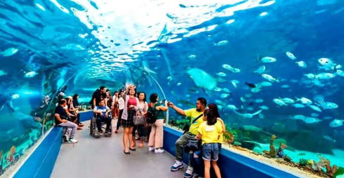 Cebu: Go-Karting + Ocean Park & History Tour With Lunch - Customer Feedback