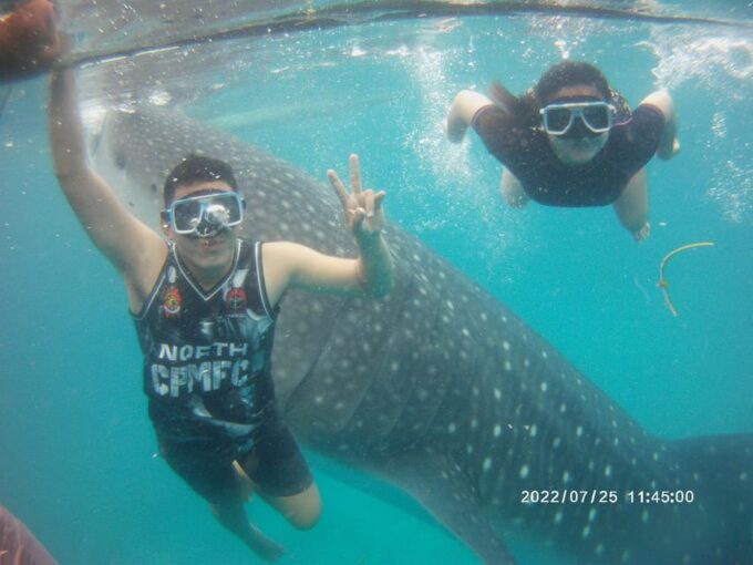 Cebu Group Tour: Whaleshark Watching & Kawasan Canyoneering - Restrictions and Requirements