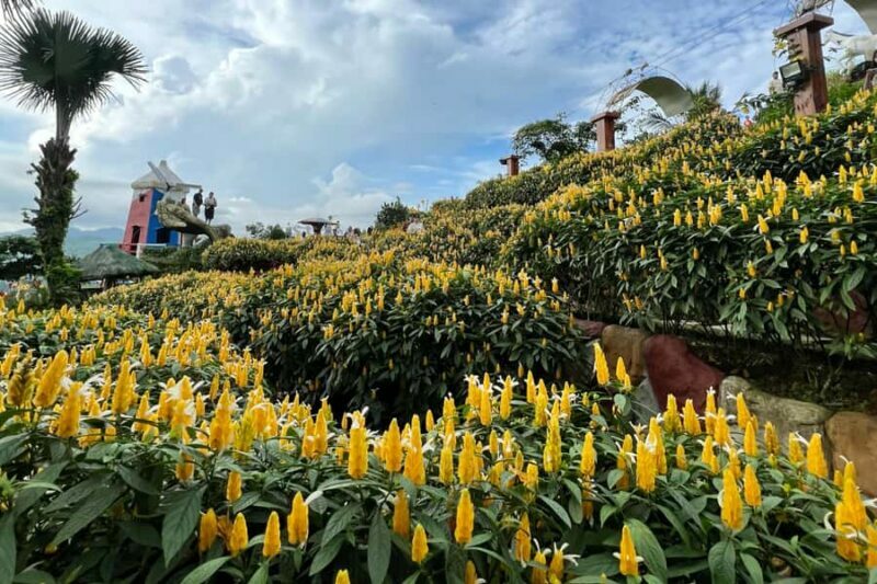 Cebu: Highlands Tour - Temples, Gardens & Scenic Views - Discovering Cebu’s Highlands: An Authentic Experience