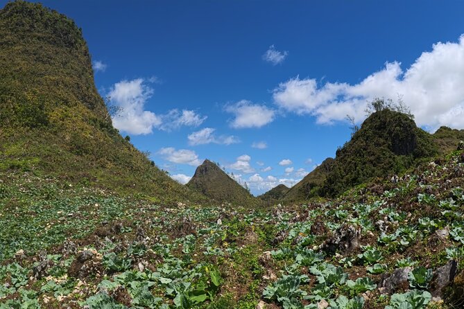 Cebu Hiking Adventure in Osmena Peak - Sum Up