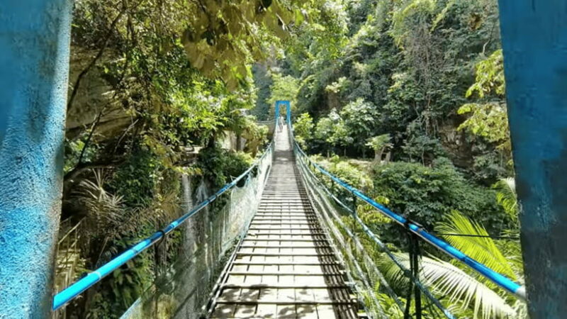 Cebu: Inambakan, Kawasan, and Mantayupan Falls Day Trip - The Sum Up
