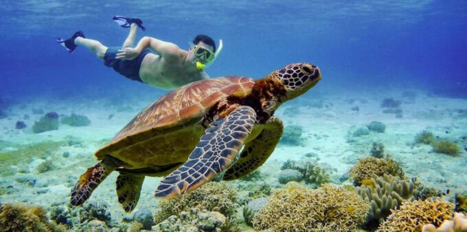 Cebu: Island Hopping Pescador,Sardine Run Andturtle Paradise - Weather Policy and Cancellation