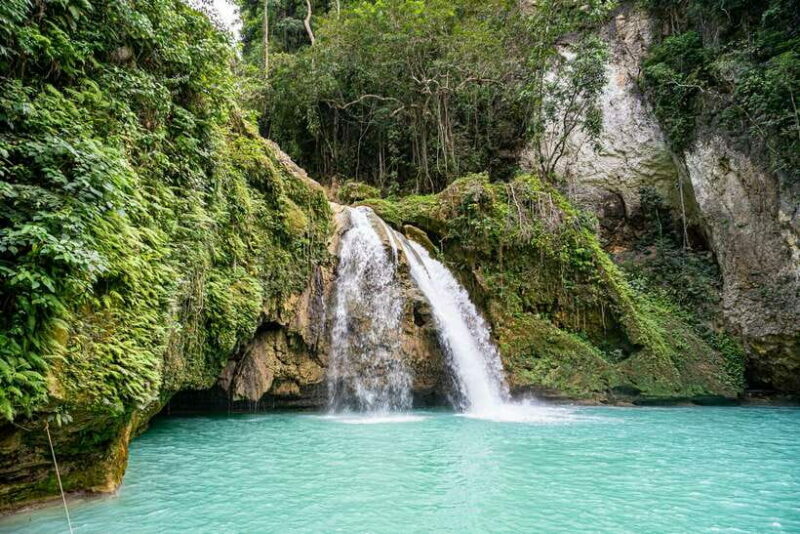Cebu: Kawasan Canyoning, Moalboal Snorkeling, & Turtles Tour - An In-Depth Look at the Tour Experience