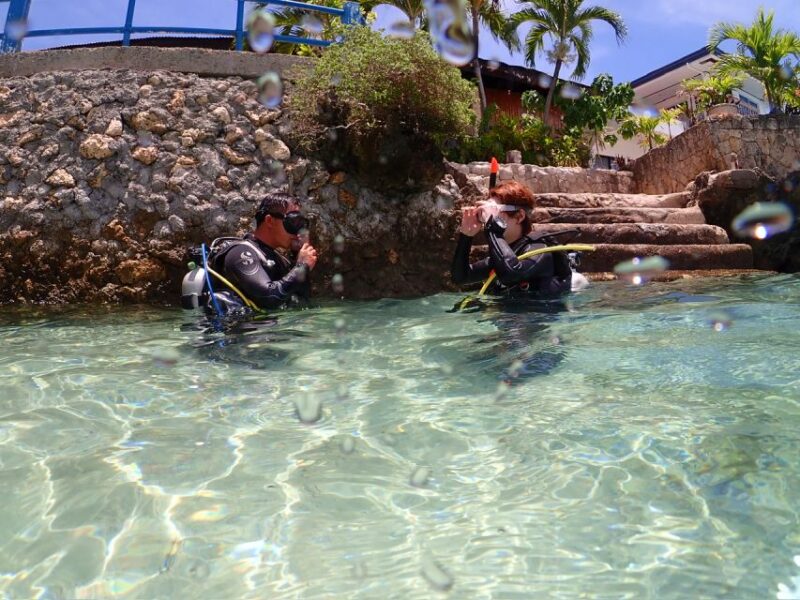 Cebu Mactan:Scuba Diving Experience Beach 1or2 Dive. - Key Points