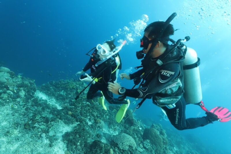 Cebu Mactan:Scuba Diving Experience Beach 1or2 Dive. - Inclusions and Exclusions