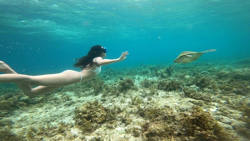 Cebu Moalboal Adventure Combo: Snorkel & Canyoneering +Lunch - Snorkeling in Moalboal