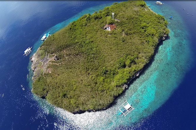 Cebu Moalboal Beach, Sardine Run, Sea Turtle Viewing Canyoneering Tour - Discover Cebus Premier Attractions