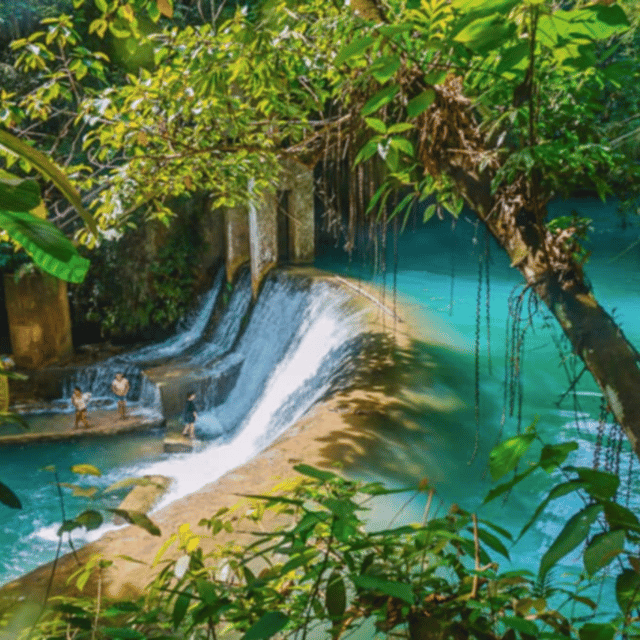 Cebu: Moalboal & Kawasan Day Tour W/ Badian Canyoneering - Experience Highlights