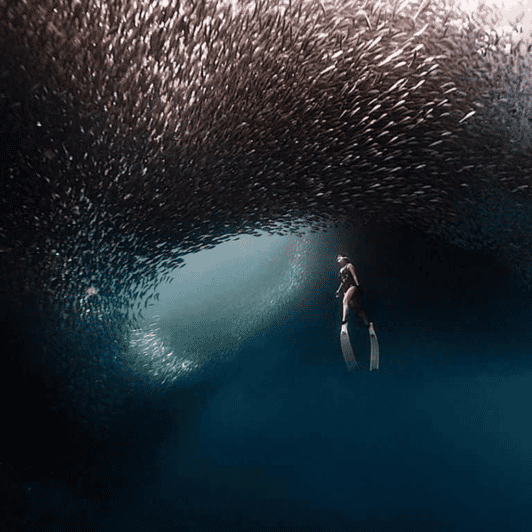 Cebu: Moalboal & Kawasan Day Tour W/ Badian Canyoneering - Inclusions