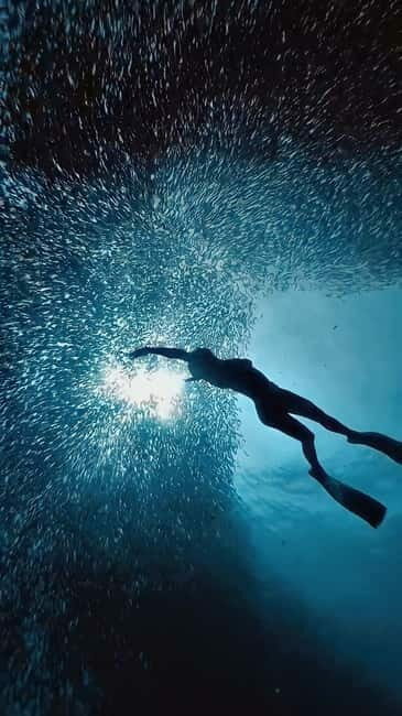 Cebu: Moalboal Sardine Run & Kawasan Falls Canyoneering - An In-Depth Look at the Tour Experience