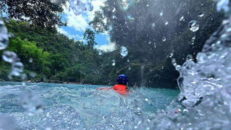 Cebu: Moalboal Sardine Run & Kawasan Falls Canyoneering - The Authentic Cebu Experience