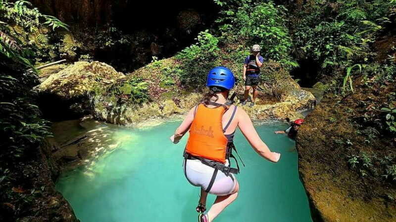 Cebu: Moalboal Sardine Run & Kawasan Falls Canyoneering - Who Will Love This Tour?