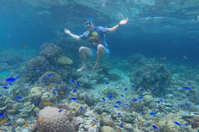 Cebu: Moalboal Sardines, Turtle Snorkeling & Kawasan Canyoneering - An In-Depth Look at the Tour Experience