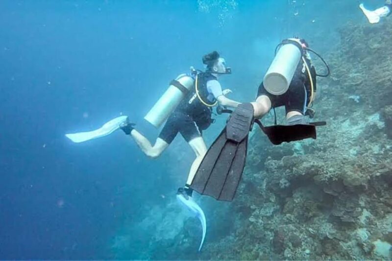 Cebu: Moalboal Scuba Diving, Sardines Run & Pescador Snorkel - Frequently Asked Questions