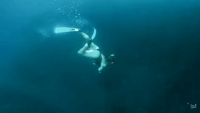Cebu: Moalboal Snorkeling & Kawasan Canyoneering Adventure - Important Considerations