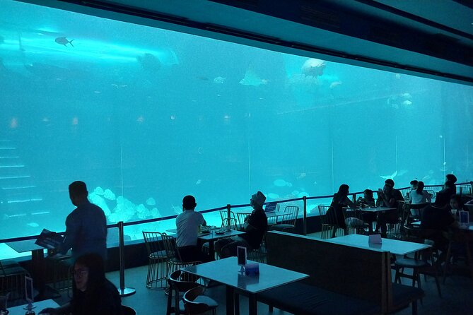 Cebu Ocean Park - Park Amenities and Facilities