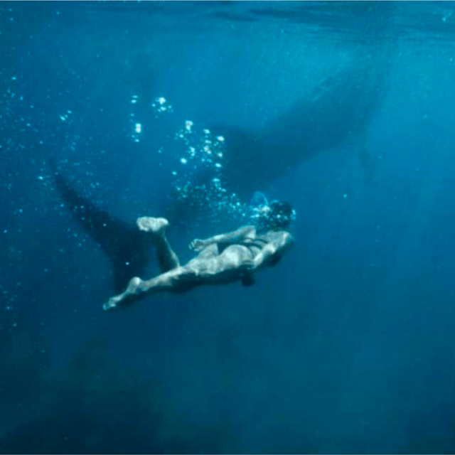 CEBU: OSLOB & MOALBOAL DAYTOUR - Inclusions
