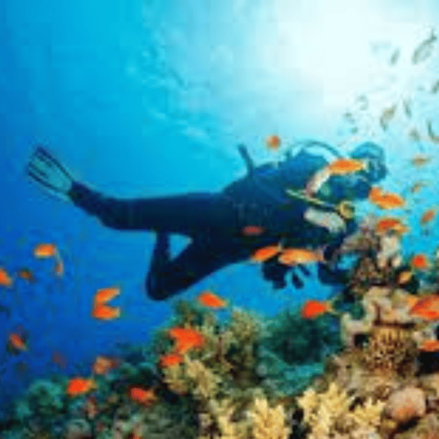 CEBU: OSLOB & MOALBOAL DAYTOUR - Whale Shark Watching