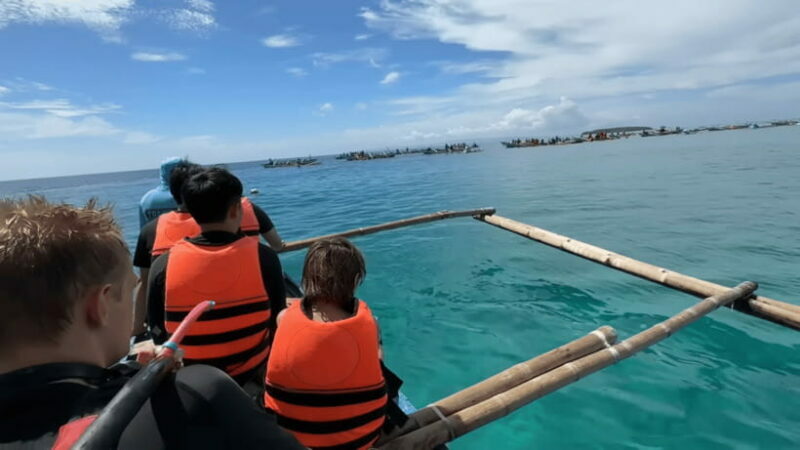 Cebu: Oslob Whale Shark and Moalboal Snorkeling Tour - Key Points