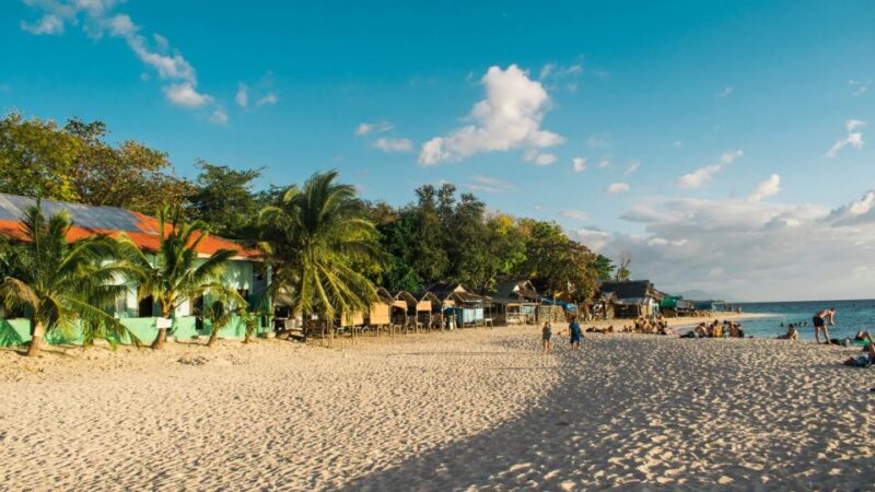 Cebu: Oslob Whale Shark & Moalboal Sardine Turtle Adventure - Inclusions