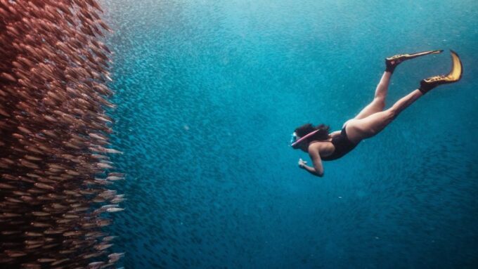 Cebu: Oslob Whale Shark & Moalboal Sardine Turtle Adventure - Scenic Drive to Oslob